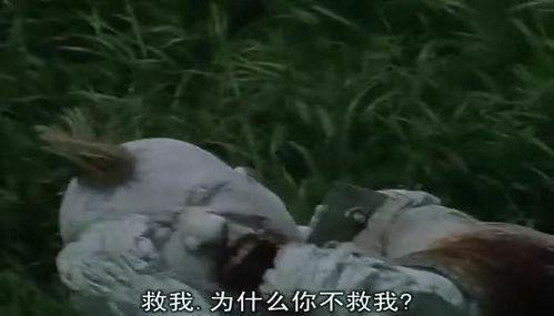 匹诺曹964号在线观看,在线观看的奇幻冒险之旅  第3张