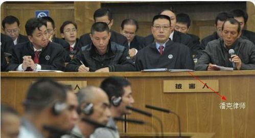 潘克律师最新爆料,揭秘重大案件背后惊人内幕