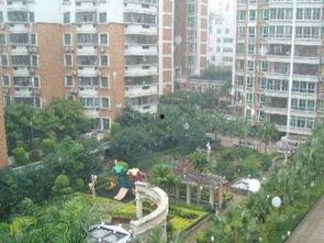 揭阳兴花园事件爆料最新,揭秘背后真相与居民抗争历程  第3张