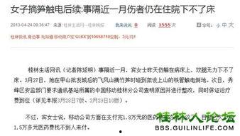 怎样给新闻网爆料呢,新闻网爆料全攻略  第3张